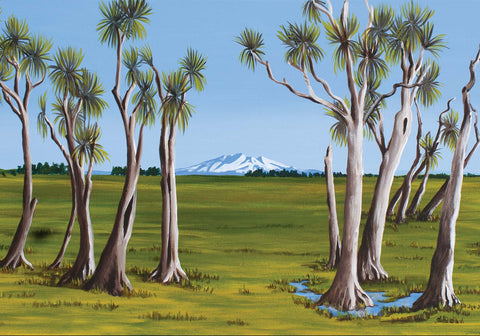 Mt Ruapehu and Cabbage Trees